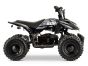 ACDC Electric ATV