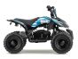 ACDC Electric ATV