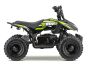 ACDC Electric ATV
