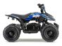 ACDC Electric ATV