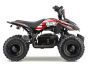 ACDC Electric ATV